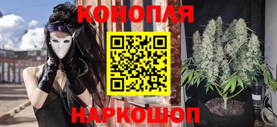 СК Можга
